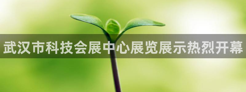果博平台客服：武汉市科技会展中心展览展示热烈开幕