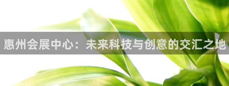 果博公司网站：惠州会展中心：未来科技与创