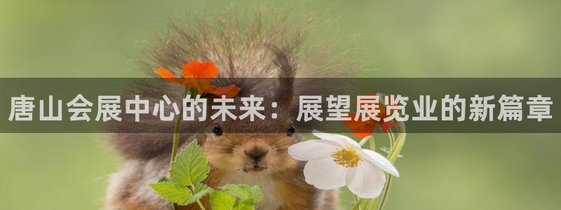 下载果博app：唐山会展中心的未来：展望展览业的新