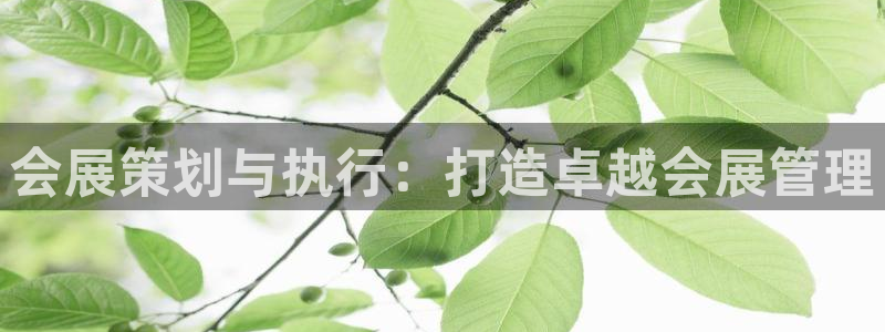 果博平台真实吗安全吗可靠吗：会展策划与执