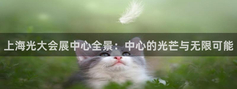 果博手机版下载：上海光大会展中心全景：中