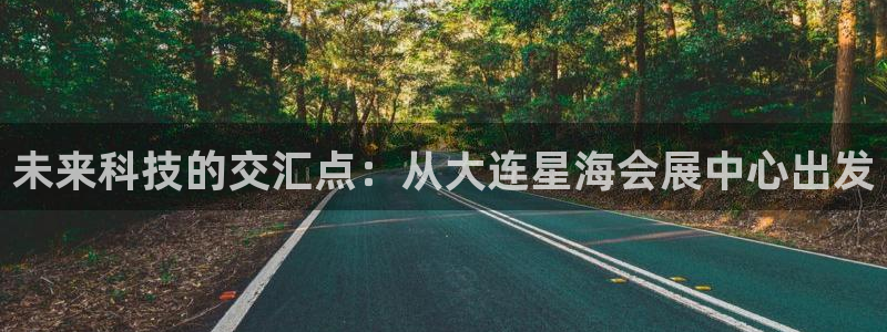 果博注册平台：未来科技的交汇点：从大连星