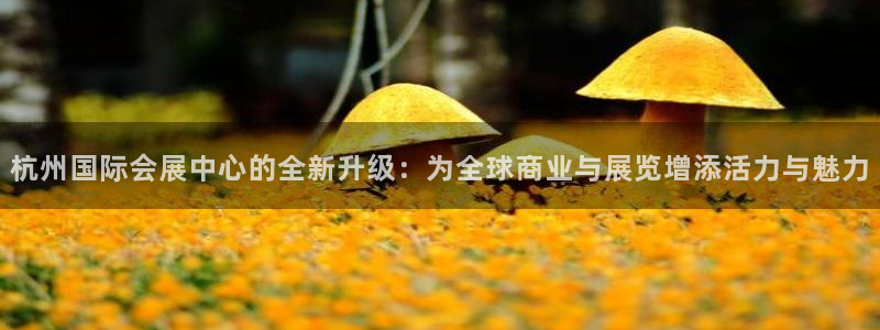 果博官网客服：杭州国际会展中心的全新升级：为全球商业与展览增添活力与魅力