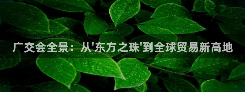 果博电话：广交会全景：从\'东方之珠\'