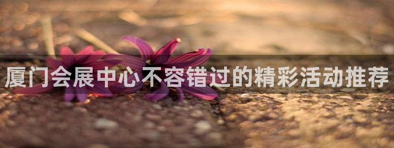 果博平台真实吗安全吗可信吗安全吗：厦门会