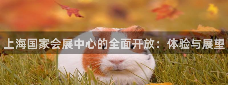 果博注册充值多少钱：上海国家会展中心的全