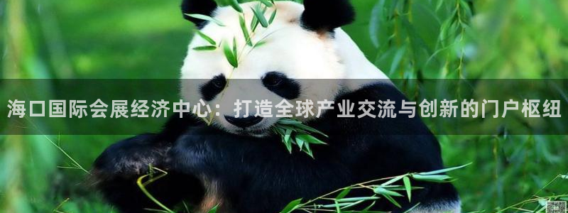 果博平台客服：海口国际会展经济中心：打造全球产业交流与创新的门户枢纽