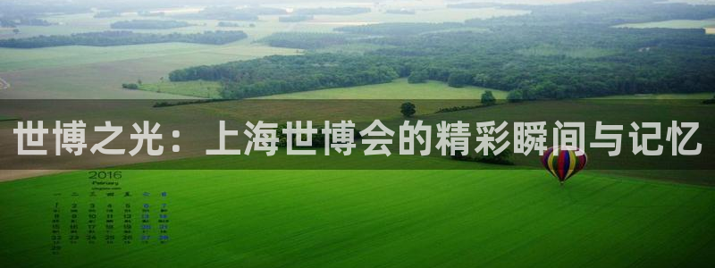 果搏代理：世博之光：上海世博会的精彩瞬间与记忆