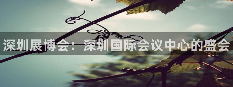 果博账号注册:深圳展博会:深圳国际会议中