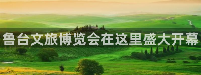 果博手机版官方下载：鲁台文旅博览会在这里盛大开幕