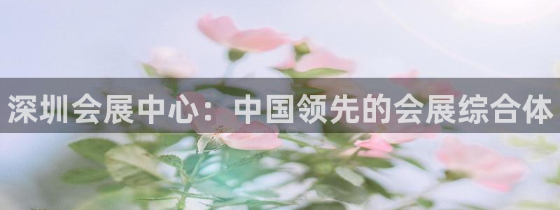 果博手机下载网址：深圳会展中心：中国领先