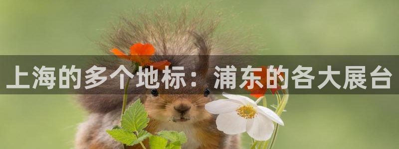果博公司客服联系方式：上海的多个地标：浦东的各大展台