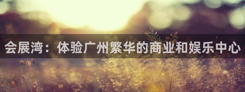 下载果博：会展湾：体验广州繁华的商业和娱乐中心