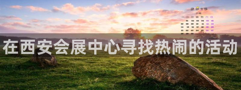 果博手机版下载