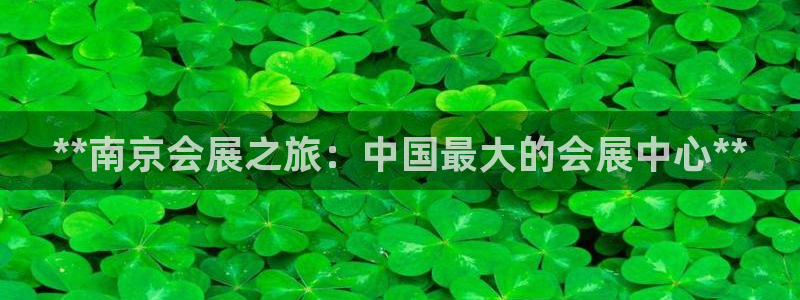 果博代理怎么注册：**南京会展之旅：中国最大的会展中心**