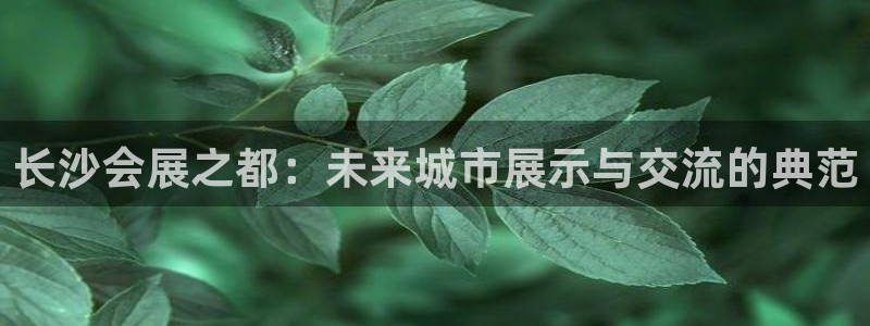 果博注册平台怎么注册的：长沙会展之都：未来城市展示与交流的典范