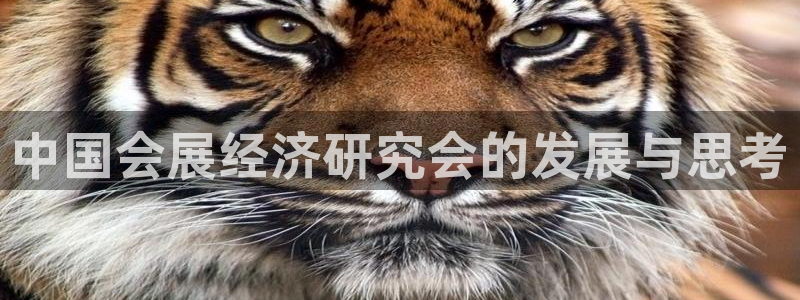 果博公司开户注册：中国会展经济研究会的发
