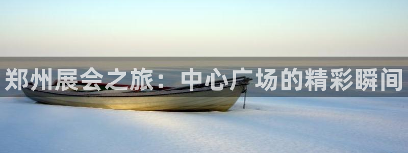 果博平台怎么下载?：郑州展会之旅：中心广