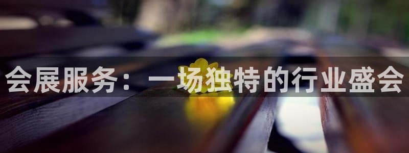 果博官网首页：会展服务：一场独特的行业盛会