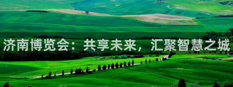 果博官网客服电话号码查询：济南博览会：共