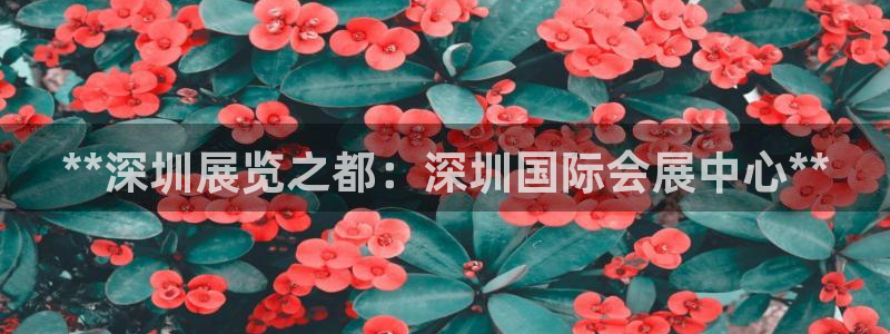果博电话：**深圳展览之都：深圳国际会展中心**